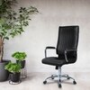 Leanoxa High Back Executive Chair in Black Colour