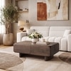 Olen Solid Wood Rectangular Storage Coffee Table In Danish Walnut Finish