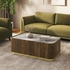 Dorian Engineered Wood Coffee Table With Ceramic Top in Walnut High Gloss Finish