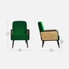 Haden Solid Wood Accent Chair in Green Colour