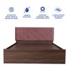 Nirodhah Engineered Wood Queen  Size Bed With Box Storage (Walnut Finish)