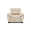 Adelaide Premium 1 Seater Fabric Sofa in Birch Beige Colour
