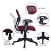 Aaeroa Low Back Ergonomic Chair in Maroon Colour