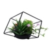 Artificial Succulent Indoor Plant With A Metal Stand