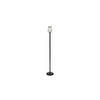 Dixon Black Glass Shade Floor Lamp