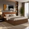 Lush Engineered Wood Queen  Size Bed With Box Storage (Walnut Finish)