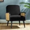 Haden Ratan Accent Chair in Black Colour
