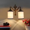 Devansh Metal Electric Wall Light in Multi Colour with Multi Shade Count of 2 Lights