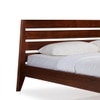 Leed Solid Wood Queen  Size Bed Without Storage (Dark Oak Finish)