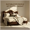 Solara Wave Luxe King Size Bed in velvet With Oak wood Frame & Hydraulic Storage