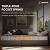 Sleepwell Ortho Pro Spring, Euro Top Finish, 3-zone pocket 6 inch Single Pocket Spring Mattress (L x W: 78 inch x 30 inch)