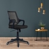 Ddeasirea Mid Back Ergonomic Chair in Black Colour