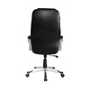 Adiko Designer Executive Chair In Black