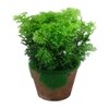 Artificial Fern Indoor Plant With Pot