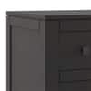 Walter Solid Wood Chest of Drawers in Mango Mahogany Finish