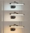 Rosalyn 3 Color LED Adjustable Swivel Picture Light
