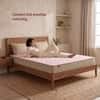Kurlon Ortho Natural Grid Mattress Firm Orthopedic Double 78x47x8 Inch