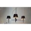 Conley Three Light Chandelier