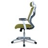Wiweangs High Back Ergonomic Chair in Pearl Green Colour