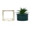 Aloe Vera Plant In Green Ceramic Pot With A Metal Stand