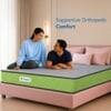 Sleepwell Ortho Nirvana Mattress Medium Firm Perfect Spine Alignment Single 75x42x5 Inch