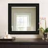 Decorative Mirror and Bathroom Mirror ELF3030MRREM0209