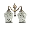 Devansh Metal Electric Wall Light in Multi Colour with Multi Shade Count of 2 Lights