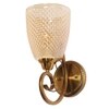 Eliante Modern Wall Lights Mild Steel & Glass Material Antique & Champaign Finish