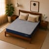 Ortho Premium Spring Pocket Mattress (78 x 36 in, 8 Inches)