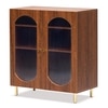Stellar Multipurpose Storage Cabinet (Medium Size, Teak Brown)