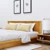 Hexa Engineered Wood Modern King Bed With Headboard Without Storage In Giant Wood
