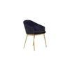 Malik Foam Dining Chair in Multicolour