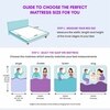 Soft Bounce Herb Fresh Technology | Back Care | Direct from Factory King Size Mattress (75 x 70 in, 4 Inches)
