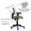 Odrione Low Back Ergonomic Chair in Pearl Green Colour