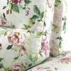 Adelaide Luxe 3 Seater Fabric Sofa in Clara Velvet Colour