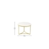 Griffin Nesting Coffee Table In Gold Finish