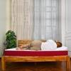 Bone Zone with Rebotech Tech  Mattress (72 x 30 in, 8 Inches)