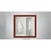 Decorative Mirror and Bathroom Mirror ELF2424MRREM0115