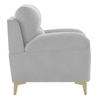 Osbert Velvet 1 Seater sofa in Grey color