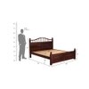 Syan Solid Wood Queen  Size Bed Without Storage (Walnut Finish)