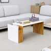 Hexa Engineered Wood Coffee Table In Giant Wood And Frosty White