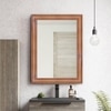Decorative Mirror and Bathroom Mirror EL1812BMRREM0092