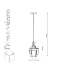 Nolan Single Light Ceiling Pendant In Antique Brass Finish