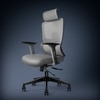 Imperia Ergonomic Study Chair in Grey Colour