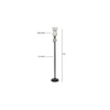 Elaine Black Glass Shade Floor Lamp