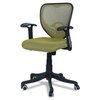 Odrione Low Back Ergonomic Chair in Pearl Green Colour