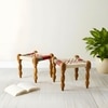 Riaza Sheesham Wood Vintage Set of 2 Stools in Multicolour Chindi & White Rope Canning