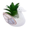 Aloe Vera Plant Inside An Artistic White Swan Ceramic Pot
