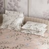Stoa Paris Super King Size Cotton Bedsheet with 4 Pillow Covers  Size Nectar Bloom Peach