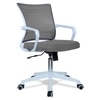 Iinea Mid Back Ergonomic Chair in Grey Colour